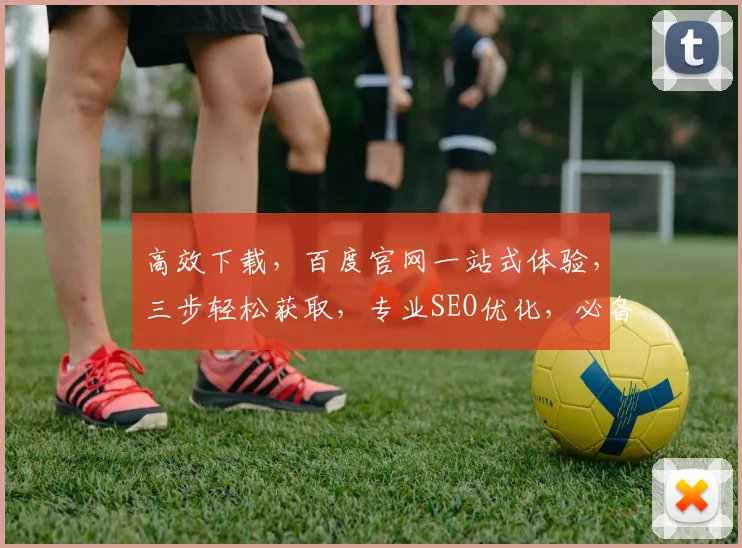 高效下载，百度官网一站式体验，三步轻松获取，专业SEO优化，必备