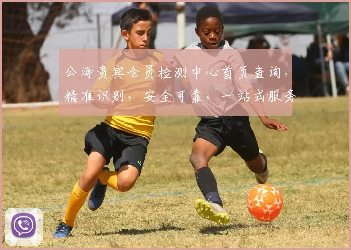 公海贵宾会员检测中心首页查询，精准识别，安全可靠，一站式服务三重保障，敬请体验