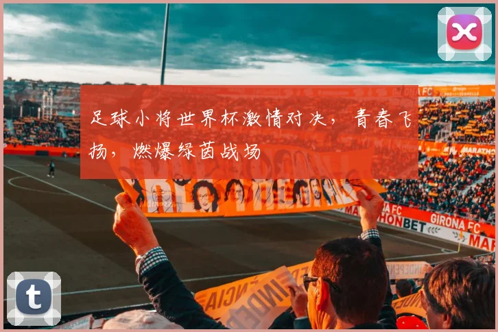 足球小将世界杯激情对决，青春飞扬，燃爆绿茵战场